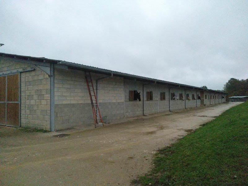 Centre Équestre du Frais Puits - photo 2