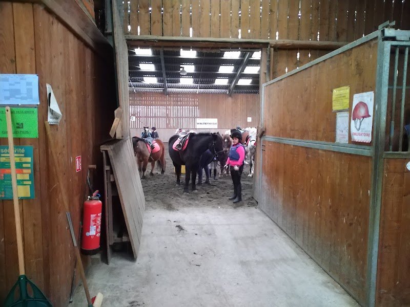 Centre Équestre du Frais Puits - photo 3