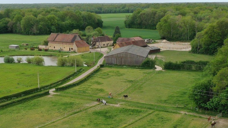 Ecurie des cèdres bleus - photo 1
