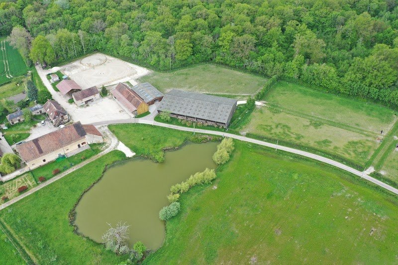 Ecurie des cèdres bleus - photo 2