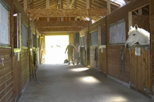 Écuries des Combes Rouges - photo 2