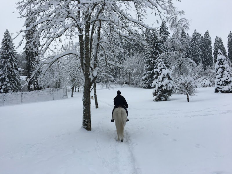 Ecurie des Rochettes - photo 1