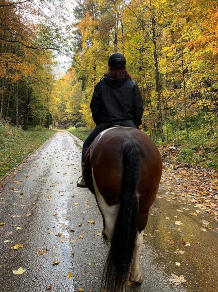 Ecurie des Rochettes - photo 3