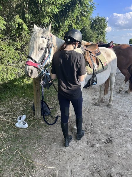 Ecurie Les Rouillons - photo 2