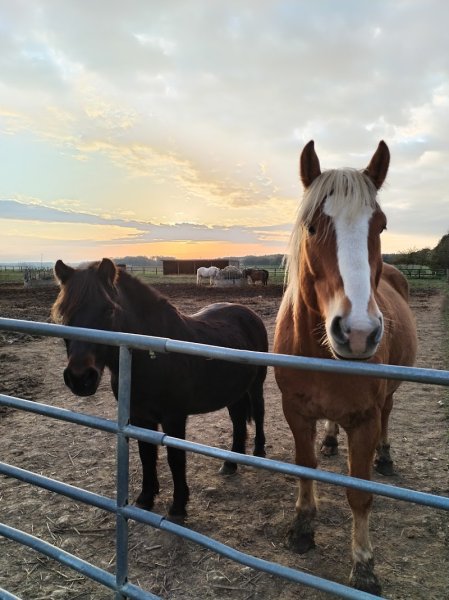 Ecurie Les Rouillons - photo 3