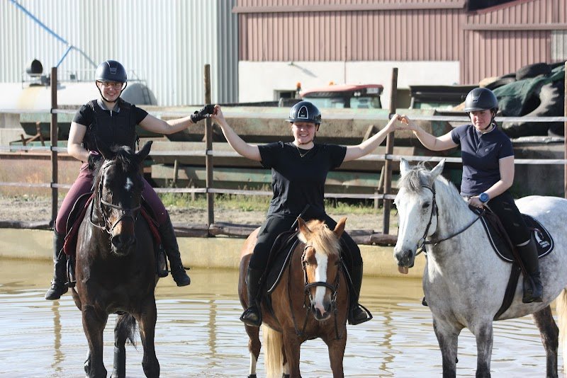 Les Ecuries de Molion - photo 1