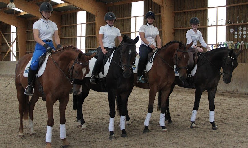 Les Ecuries de Molion - photo 2