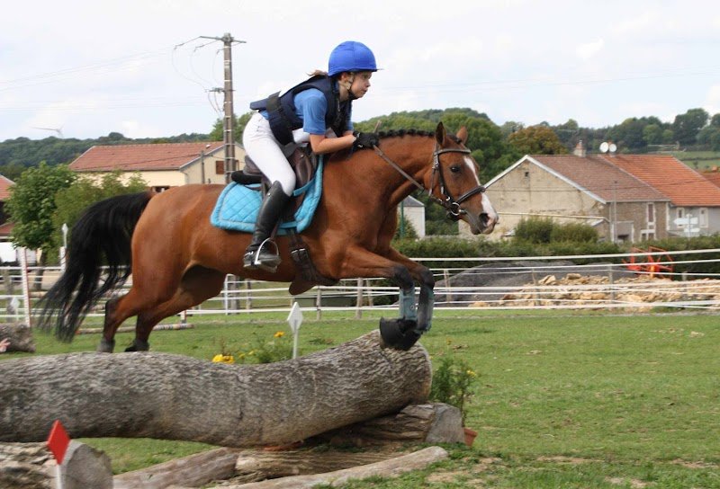 Les Ecuries de Molion - photo 3