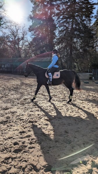 Les Ecuries du Tholon - photo 1