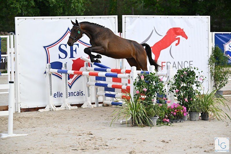 Les écuries de Marenoire - photo 1