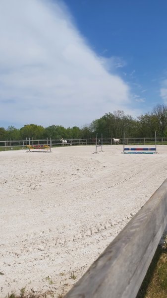 Les écuries de Marenoire - photo 3