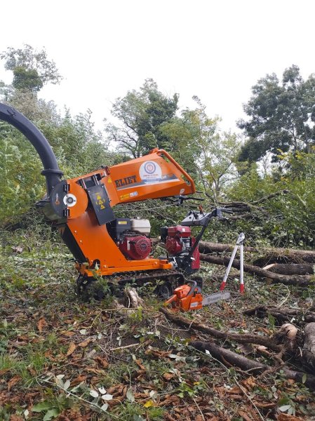 CHEVAL O VIGNES Labours au cheval et au treuil en Bourgogne - photo 3