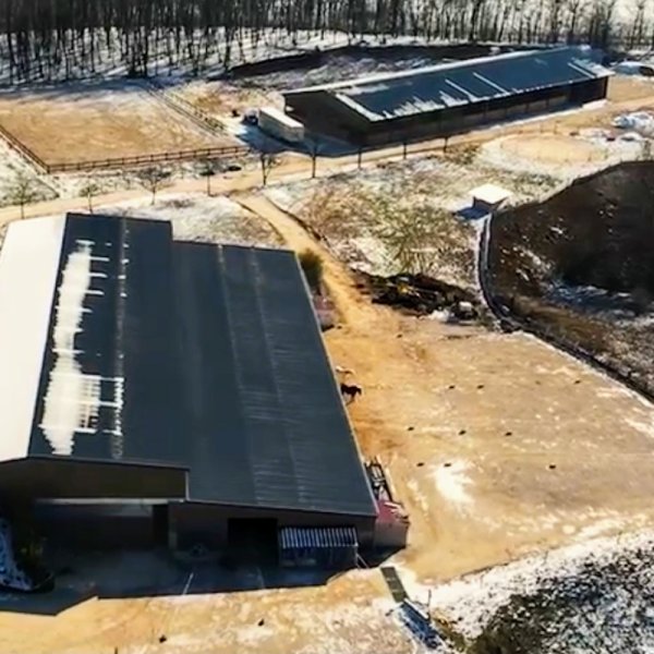 Écurie de la liberté - photo 2