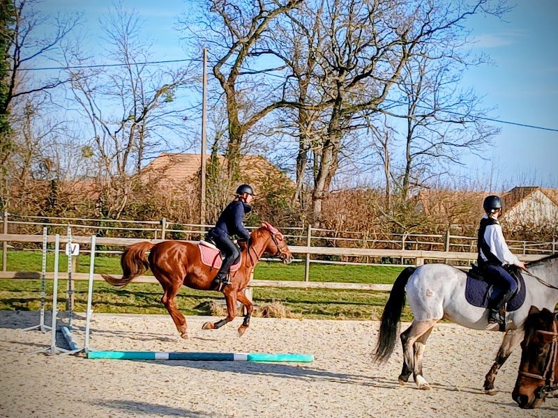 Écurie de Lessard - Alice Allard