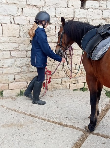 Écurie de Lessard - Alice Allard - photo 2