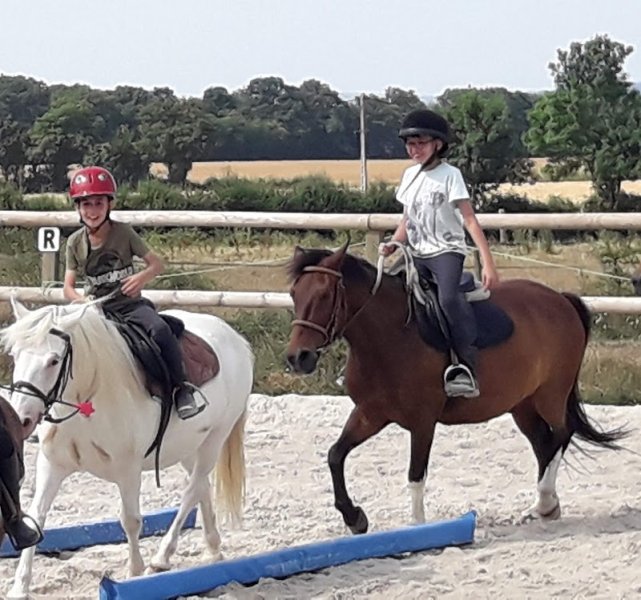 Écurie de Lessard - Alice Allard - photo 3