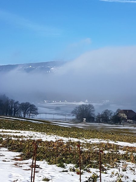 Ecurie de Serroue - photo 2