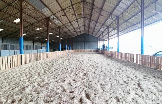 Les Ecuries "Les Ptits Sabots de Germigny" - photo 2