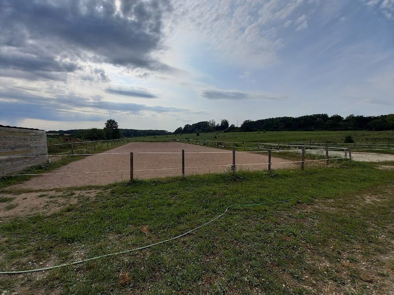 Ecurie Dear Darling - photo 2