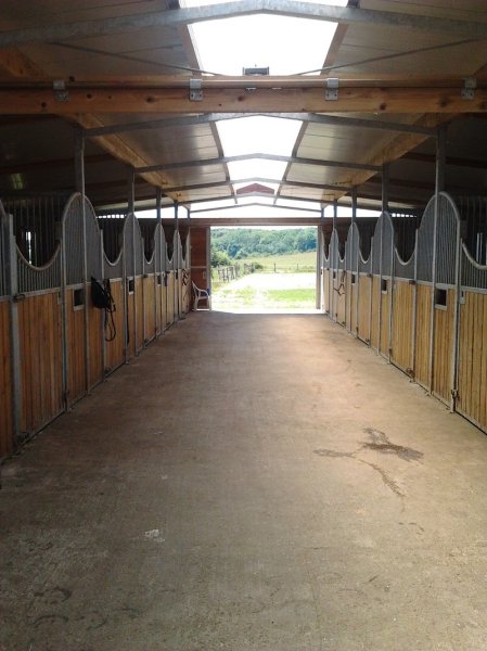Ecurie Dear Darling - photo 3