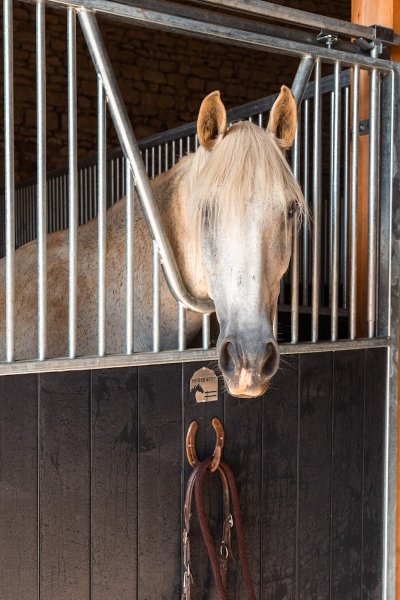 Les Écuries des Bois de Champagne - photo 3