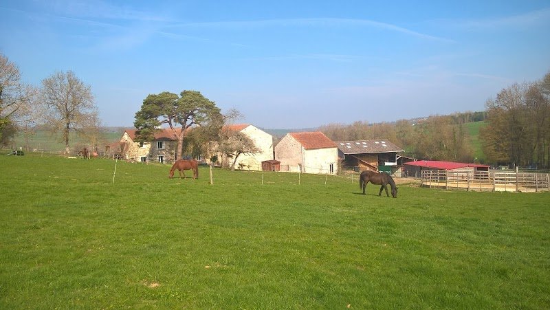 Pension Chevaux Moulin de la Ville Chamblon - photo 2