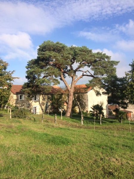 Pension Chevaux Moulin de la Ville Chamblon - photo 3