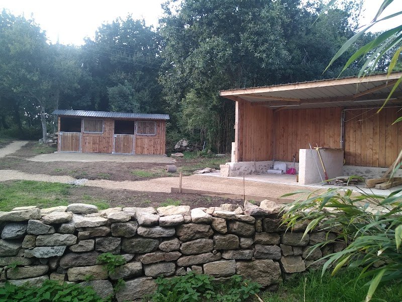 Écurie active Les Crins de Gaïa - pension cheval - photo 2