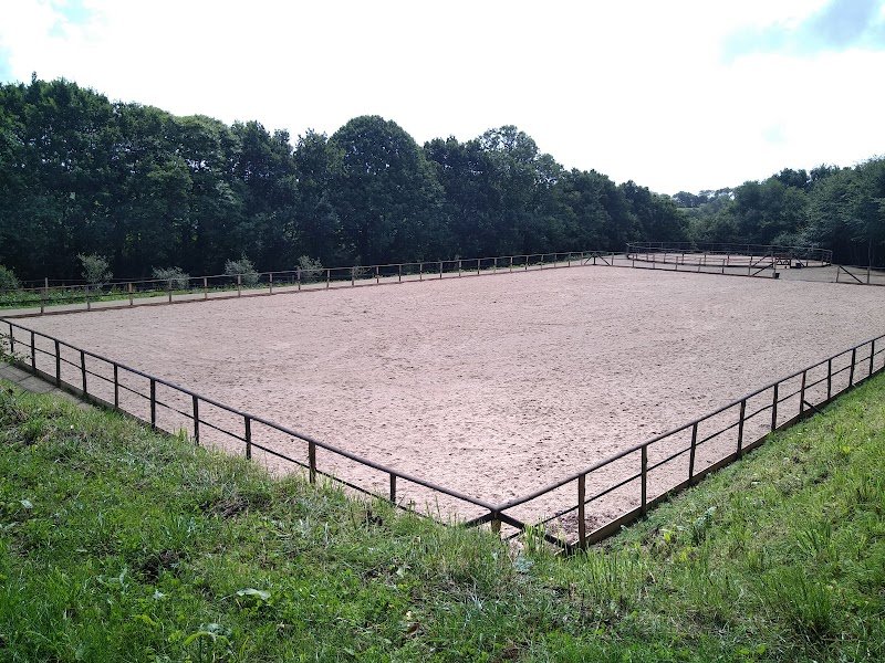 Écurie active Les Crins de Gaïa - pension cheval - photo 3