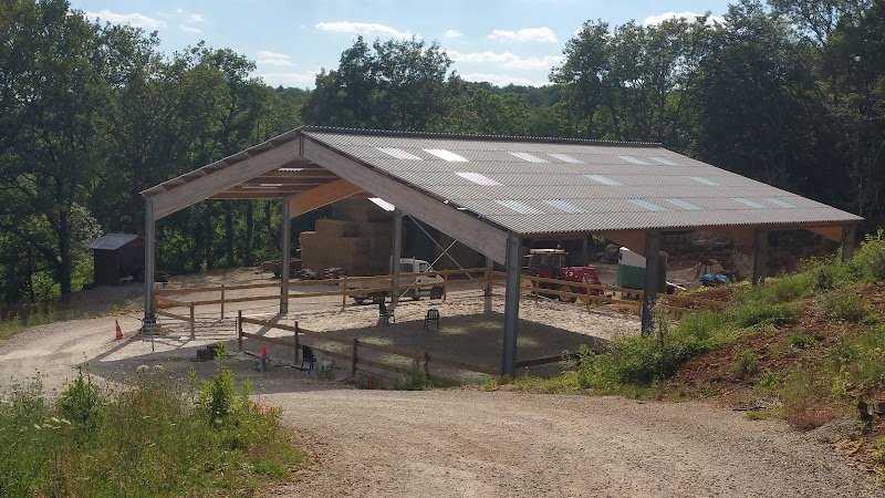 Écurie De La Vingeanne - photo 1