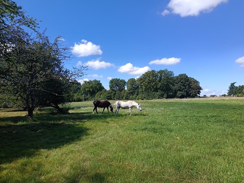 L’écurie des Amis - photo 1