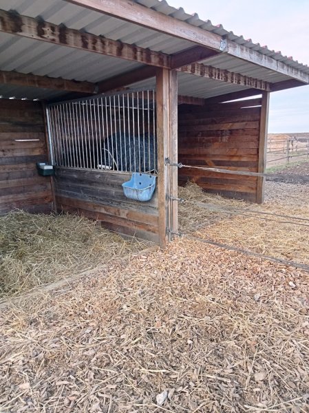 Les Ecuries De Thiellay– pension chevaux axé bien-être - photo 2
