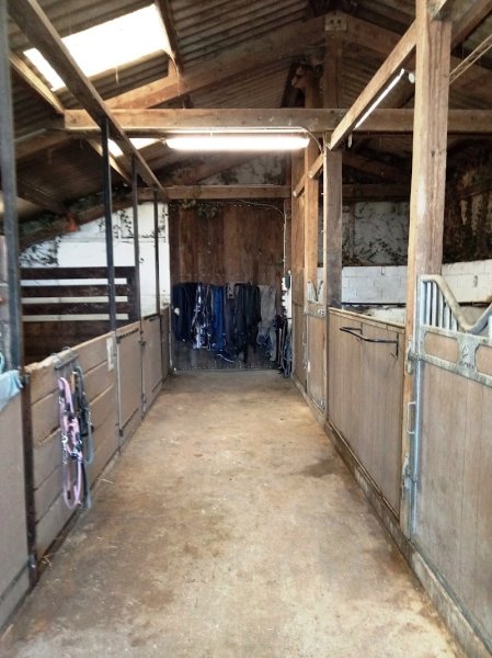 Les Ecuries De Thiellay– pension chevaux axé bien-être - photo 3