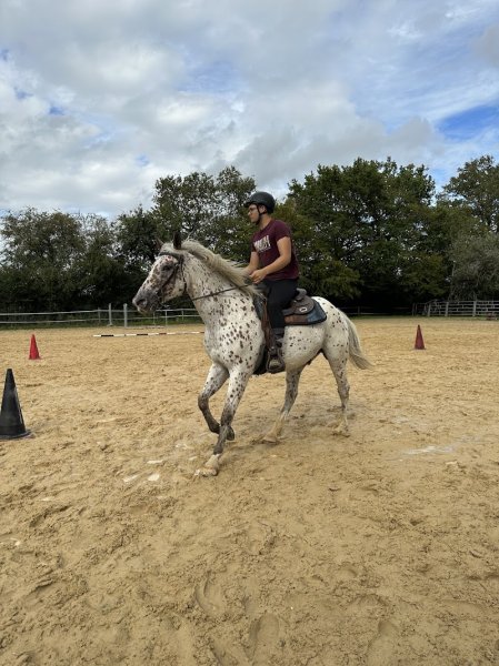 Ferme Équestre l'Échappée Belle - photo 2