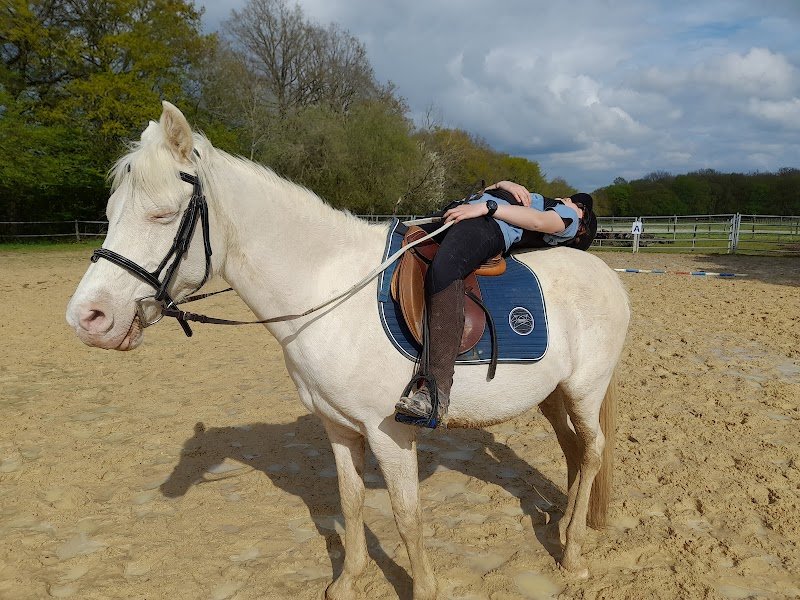 Ferme Équestre l'Échappée Belle - photo 3