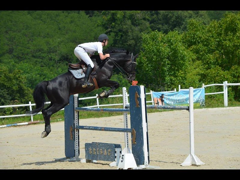 CENTRE ÉQUESTRE ECURIE D'IDOINE (Centre de Formation)
