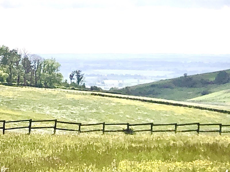 Haras De Vulsain, Lévy François