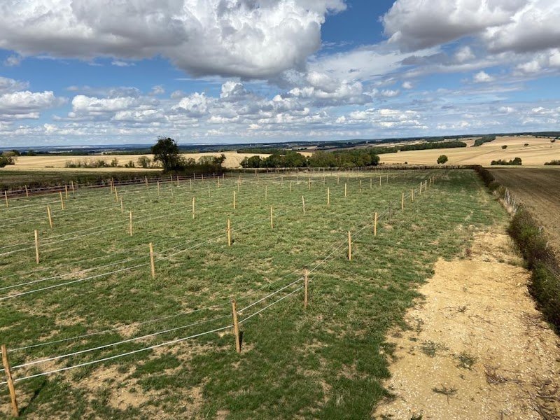 Ecurie Mel & Ben - photo 3