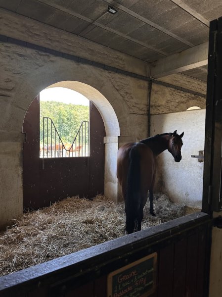 Haras du Val des Escholiers