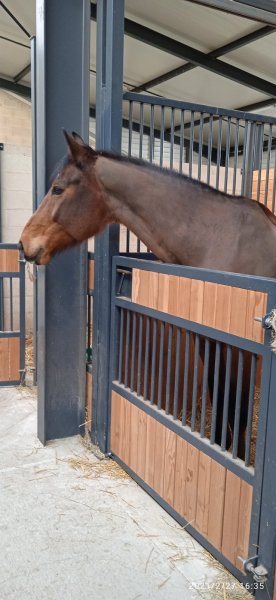 Les Ecuries Du Cray - photo 2