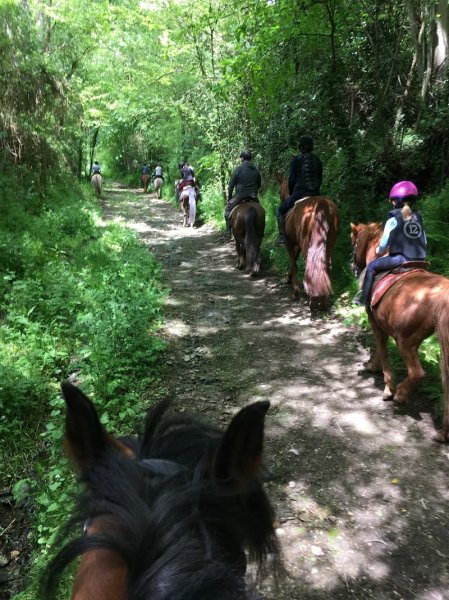 Écurie des Monts - Le Hom Equitation - photo 2
