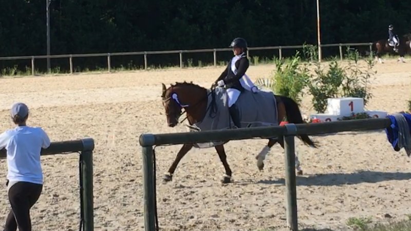 Écurie des Monts - Le Hom Equitation - photo 3