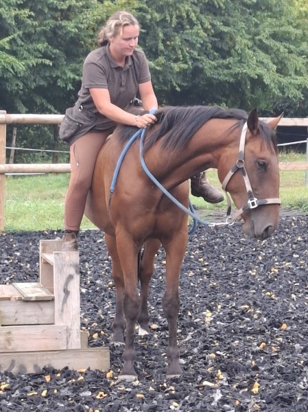 CheVal'Goude - photo 1