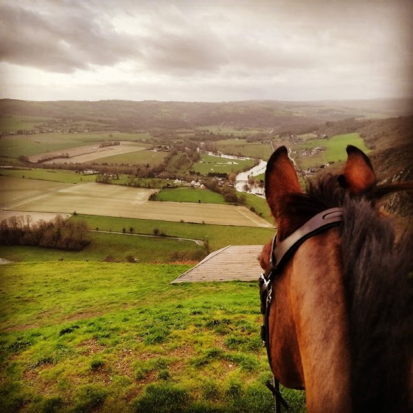 Ecurie des Crêtes JC équitation - photo 3