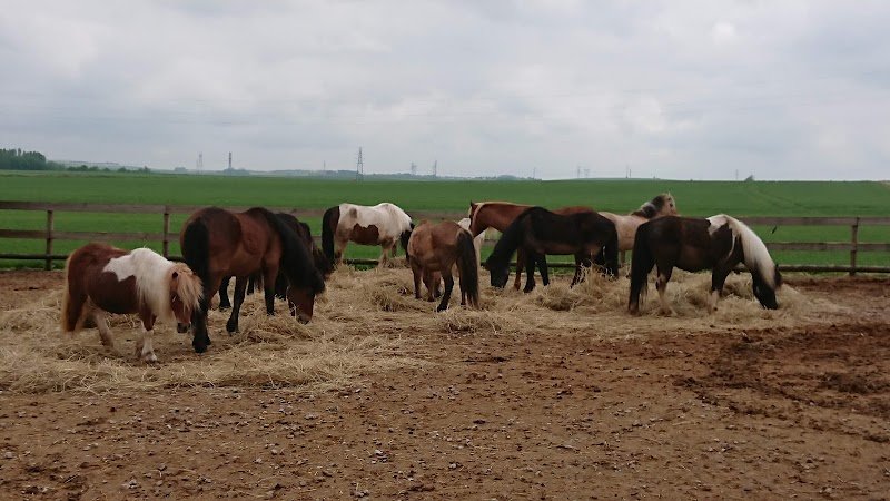 Les Ecuries de Belley - photo 3