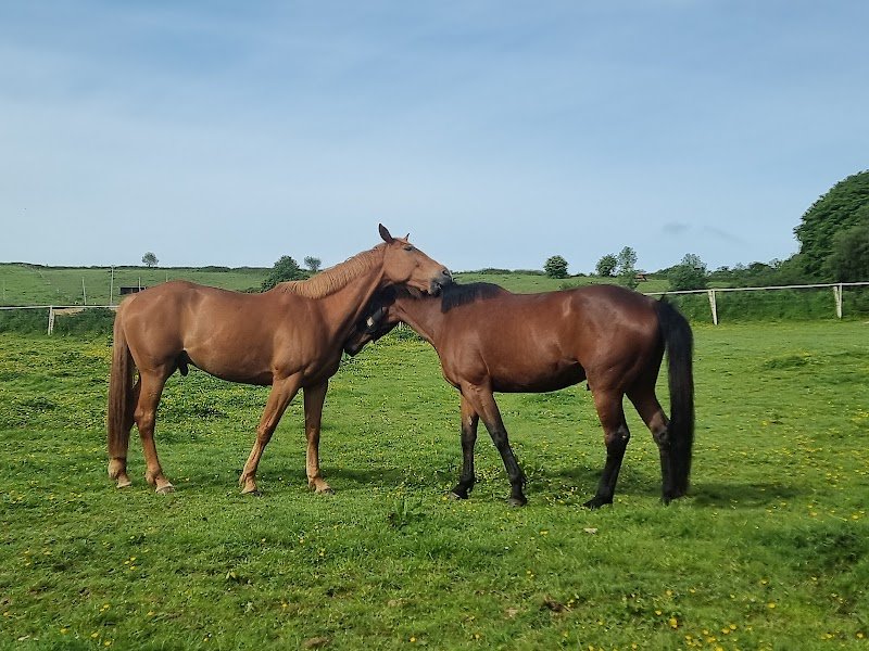 Le petit haras de Valmont - photo 2