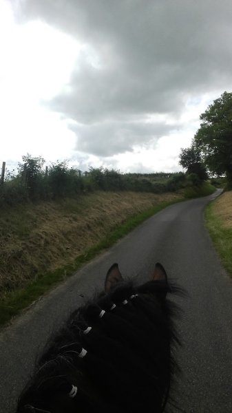 Écurie des Chantes Renard - photo 2