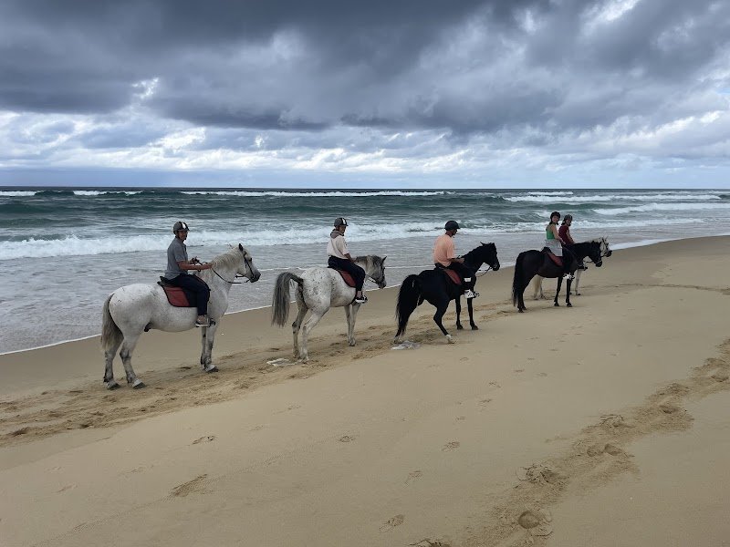 Centre Equestre de la Prade - photo 1