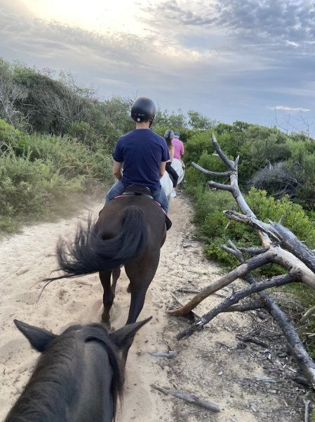 Centre Equestre de la Prade - photo 2