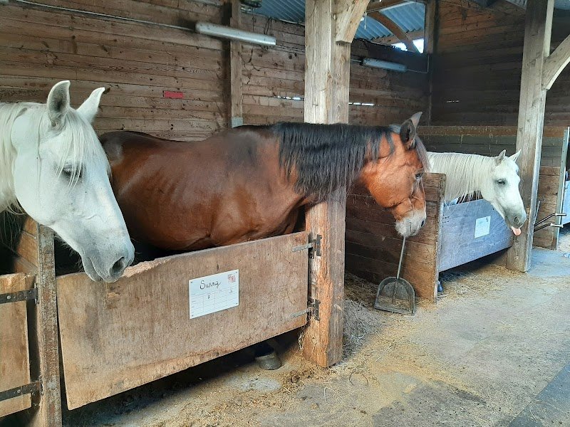 Centre Equestre de la Prade - photo 3